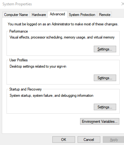 environment variable