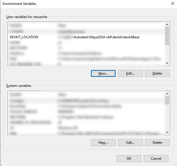 environment variable